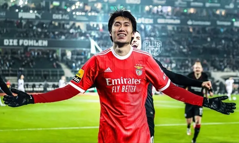 Daichi Kamada gia nhập Benfica năm nào? Có thành tích gì nổi bật?